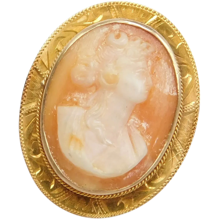 Edwardian 10k Gold Carved Shell Cameo Pin / Brooch