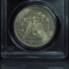 1879-S Morgan Silver Dollar Reverse of 1878 VAM 39 reverse