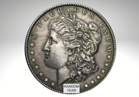 1878-1904 Morgan Silver Dollares XF Random years in tampa