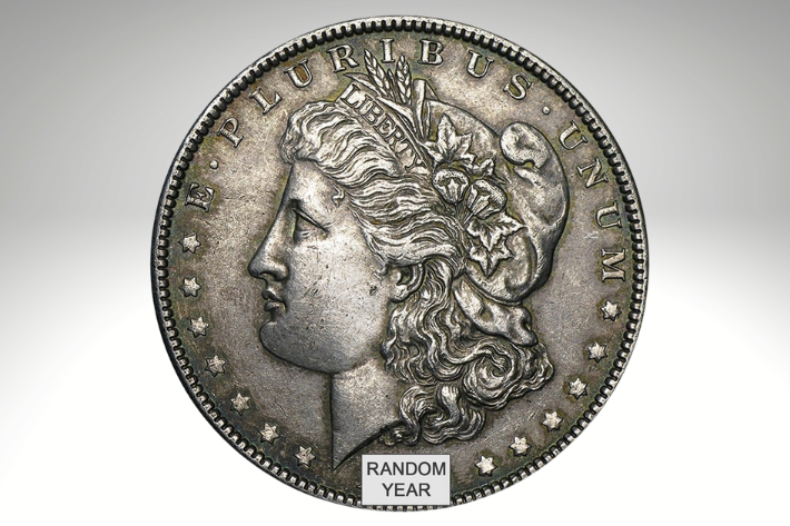 1878-1904 Morgan Silver Dollares XF Random years in tampa