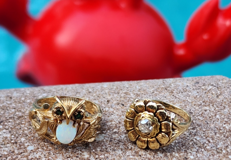 two gold rings on pools edge with crab in background