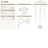 2.04 Round Diamond Stud Earrings GIA2