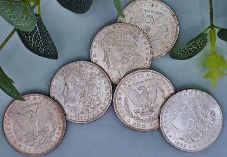 random year morgan silver dollars laying on a blue background with plants
