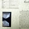 1715 Fleet Shipwreck 8 Reales w/ CoA #193