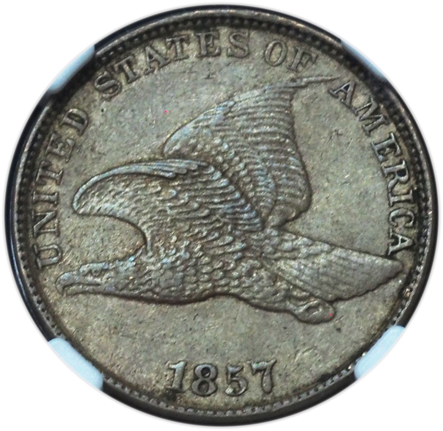 1857 Flying Eagle Cent AU58 NGC