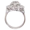 2.61ctw Diamond Cluster Ring Platinum & 14K White Gold profile