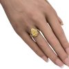 24K Gold Nugget Ring on 14K Gold Modeled