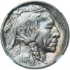 1913 Type 1 Buffalo Nickel MS67+ NGC – Incredible High-Grade Gem