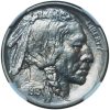 Satin Proof 1913 Type 1 Buffalo Nickel PF67 NGC