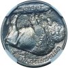 Satin Proof 1913 Type 1 Buffalo Nickel PF67 NGC