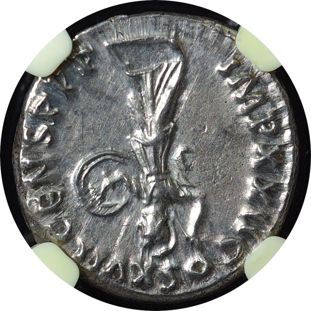 AD-81-96-AR-Denarius-Domitian-