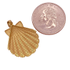 Scallop Shell Pendant Charm 14K Gold Reverse